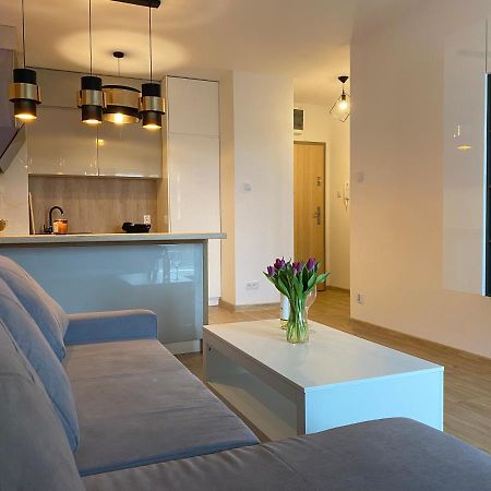 Comfortable Apartaments & Free Parking Gorzów Wielkopolski Eksteriør bilde