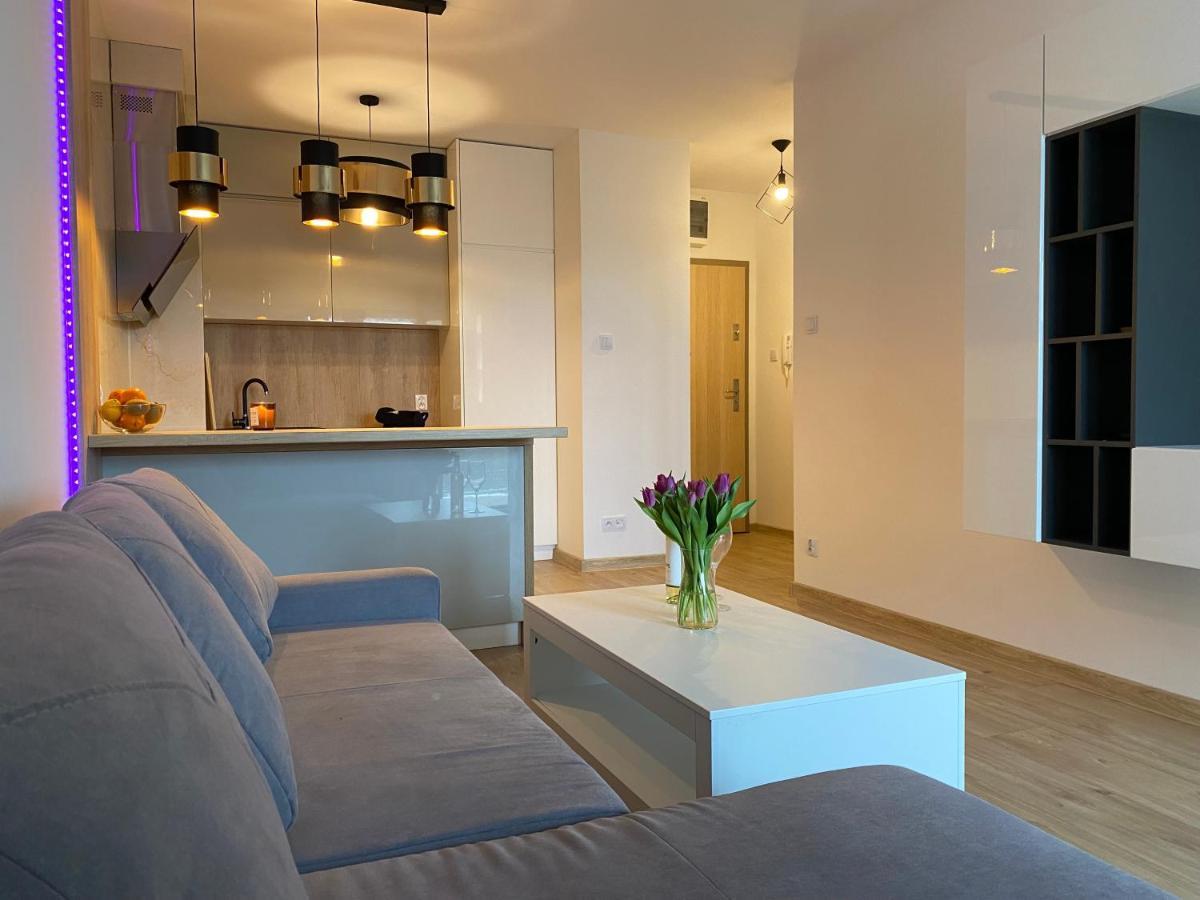 Comfortable Apartaments & Free Parking Gorzów Wielkopolski Eksteriør bilde