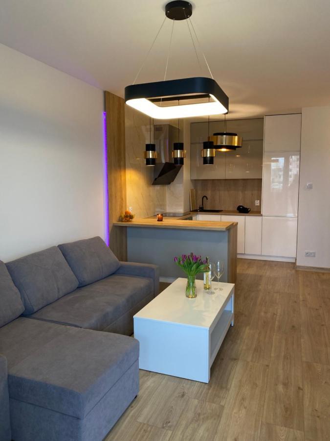 Comfortable Apartaments & Free Parking Gorzów Wielkopolski Eksteriør bilde